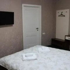 Гостиница Lama Guest House в Ярославле отзывы, цены и фото номеров - забронировать гостиницу Lama Guest House онлайн Ярославль удобства в номере фото 2