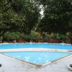 Woodline Hotel детские мероприятия фото 2