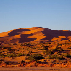 Отель Kam Kam Dunes Марокко, Мерзуга - отзывы, цены и фото номеров - забронировать отель Kam Kam Dunes онлайн городской автобус