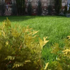 Отель Villa Rosa Dei Venti Балчик