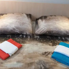 Мини-отель Калипсо Москва с домашними животными