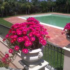 Отель My Home in Sicily Виагранде балкон