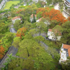 Отель Saigon Halong Халонг фото 12