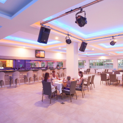 Catty Cats Garden Hotel развлечения