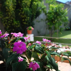 Отель Hostal As Viñas