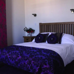 Amado Boutique Hotel комната для гостей