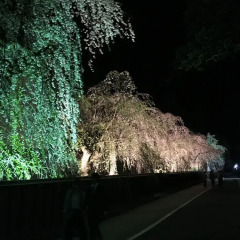 Отель Akita Art Village Onsen Yupopo Дайсен фото 3