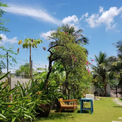 Ha Long Ginger Homestay Hostel детские мероприятия фото 2
