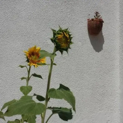 Отель B&B Porto Levante Бари