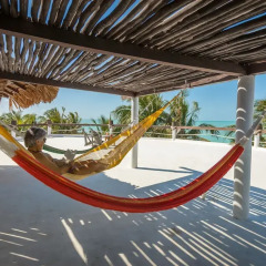 Отель Beachfront Hotel La Palapa - Adults Only Мексика, Остров Ольбокс - отзывы, цены и фото номеров - забронировать отель Beachfront Hotel La Palapa - Adults Only онлайн фото 9