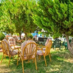 Avalon Beach Hotel - All Inclusive детские мероприятия фото 2