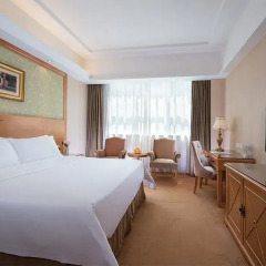 Vienna International Hotel комната для гостей фото 2