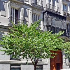 Отель We are Madrid Palacio
