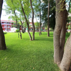 Отель Party Hotel Zornitsa Болгария, Солнечный берег - отзывы, цены и фото номеров - забронировать отель Party Hotel Zornitsa онлайн фото 5