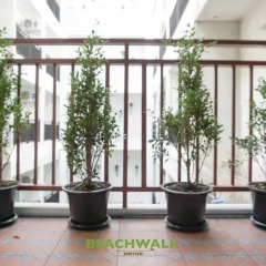 Отель Beachwalk Jomtien интерьер отеля фото 2