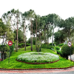 Belconti Resort Hotel - All Inclusive фото 9