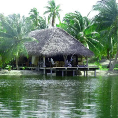 Отель Motu Aotera Guest House