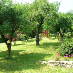 Отель B&B Il Suono del Bosco Италия, Лимена - отзывы, цены и фото номеров - забронировать отель B&B Il Suono del Bosco онлайн фото 3