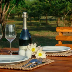 Отель The Naturalist Luxury Tents в номере
