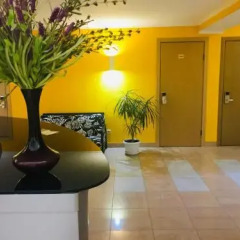 Гостиница Davidov Inn в Казани отзывы, цены и фото номеров - забронировать гостиницу Davidov Inn онлайн Казань интерьер отеля фото 2