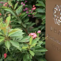 Отель Xige Garden Hotel Китай, Сямынь - отзывы, цены и фото номеров - забронировать отель Xige Garden Hotel онлайн интерьер отеля фото 3