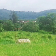 Отель Yesterday Country Resort