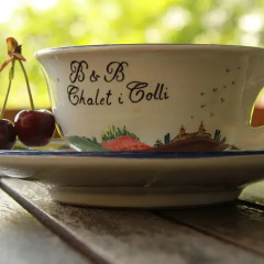 Отель B&B Chalet I Colli Италия, Болонья - отзывы, цены и фото номеров - забронировать отель B&B Chalet I Colli онлайн фитнесс-зал