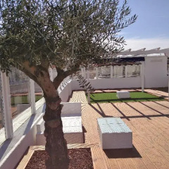 Отель Guest House Lisbon Terrace Suites II фото 6