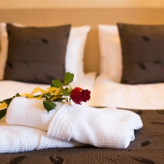 Отель Euro Garni Hotel Сербия, Белград - отзывы, цены и фото номеров - забронировать отель Euro Garni Hotel онлайн сауна