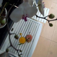 Отель Green Coco Homestay Hoi An спортивное сооружение