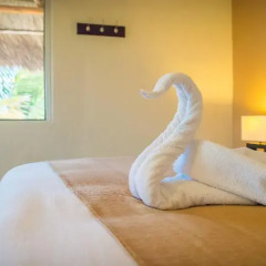 Petit Lafitte Hotel детские мероприятия фото 2