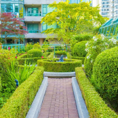 Отель Rosedale On Robson Suite Hotel Канада, Ванкувер - отзывы, цены и фото номеров - забронировать отель Rosedale On Robson Suite Hotel онлайн фото 11