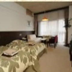 Hashimoto Hotel комната для гостей фото 3