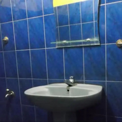 Hotel Green View Bandarawela ванная