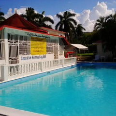 Executive Mammee Bay Hotel бассейн