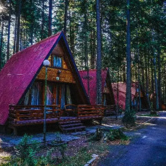 Отель Villa Malina Боровец приотельная территория