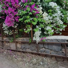 Отель Kabak Armes Патара фото 6
