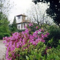 Отель Albergo Villa Azalea Италия, Вербания - отзывы, цены и фото номеров - забронировать отель Albergo Villa Azalea онлайн фото 13