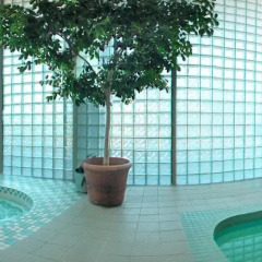 Отель Radisson Hotel Vancouver Airport Канада, Ричмонд - отзывы, цены и фото номеров - забронировать отель Radisson Hotel Vancouver Airport онлайн сауна