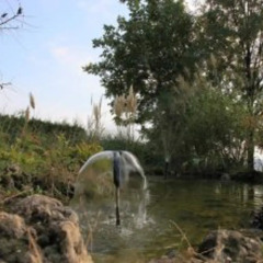 Отель Ralitsa Guest House Болгария, Шумен - отзывы, цены и фото номеров - забронировать отель Ralitsa Guest House онлайн бассейн