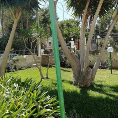 Отель Arenella Beach Италия, Аренелла - отзывы, цены и фото номеров - забронировать отель Arenella Beach онлайн детские мероприятия фото 2