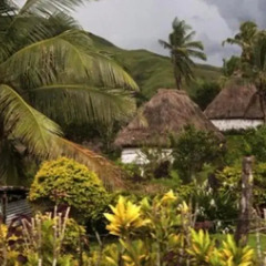 Отель Navala Home Stay фото 5