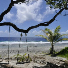 Отель Le Crusoe Французская Полинезия, Бора-Бора - отзывы, цены и фото номеров - забронировать отель Le Crusoe онлайн пляж фото 5