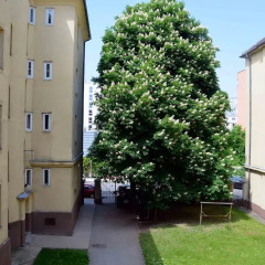 Отель HP Apartments Австрия, Вена - отзывы, цены и фото номеров - забронировать отель HP Apartments онлайн с домашними животными