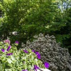 Отель Girasole Италия, Местре - отзывы, цены и фото номеров - забронировать отель Girasole онлайн фото 2