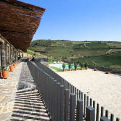 Отель Quinta da Pitarrela Португалия, Пезу-да-Регуа - отзывы, цены и фото номеров - забронировать отель Quinta da Pitarrela онлайн балкон