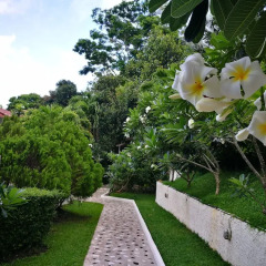 Отель On The Hill Karon Resort