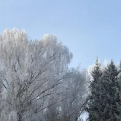 Гостиница Forest Club Lyutoretskoye фото 2