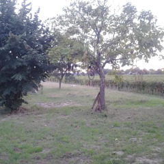 Отель Au Vélo dans l'Arbre Франция, Сент-Эмильон - отзывы, цены и фото номеров - забронировать отель Au Vélo dans l'Arbre онлайн спортивное сооружение