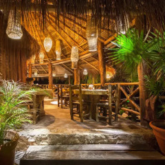 Отель Beachfront Hotel La Palapa - Adults Only Мексика, Остров Ольбокс - отзывы, цены и фото номеров - забронировать отель Beachfront Hotel La Palapa - Adults Only онлайн фото 2